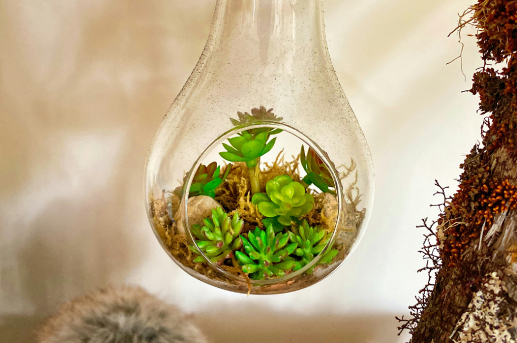 sustentabilidade